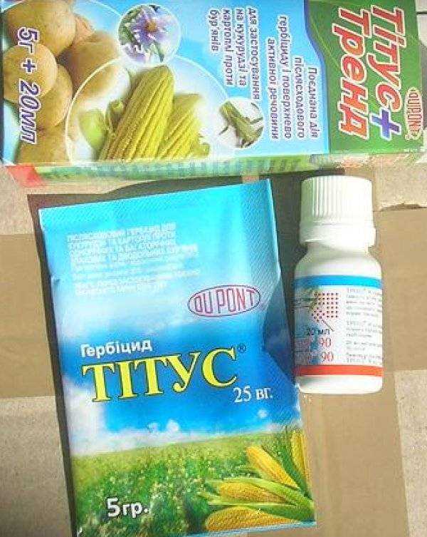 Титус, стс