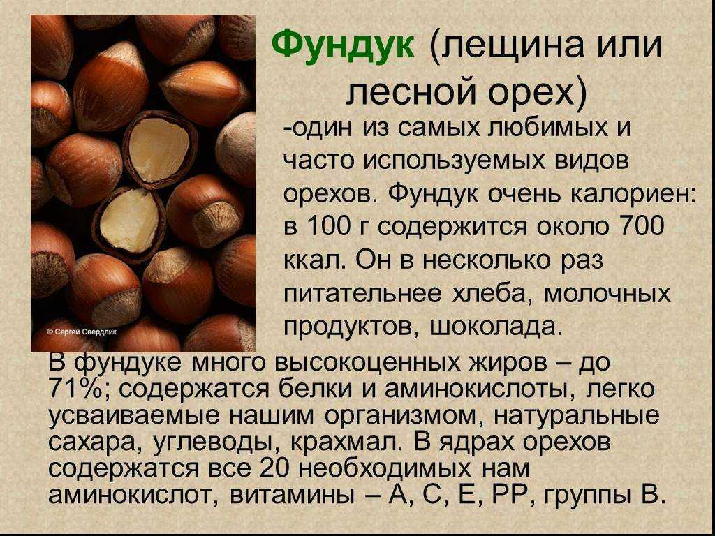 Чем полезны листья грецкого ореха и как их применять