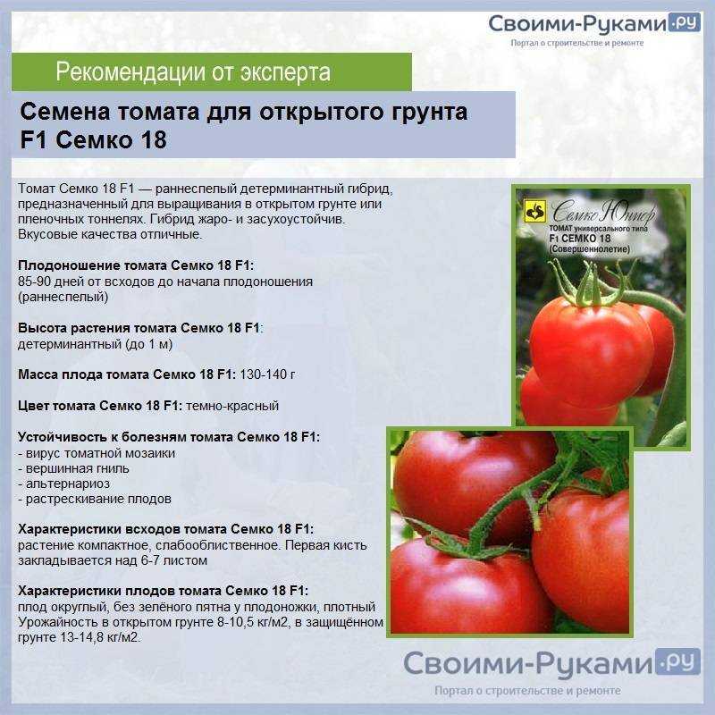 Помидорки черри – радость для гурманов и ценителей прекрасного