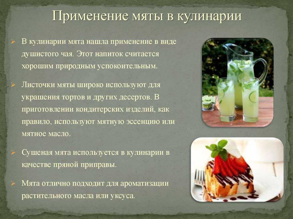 Съедобность грибов оленьи рожки и их описание (+22 фото) — викигриб