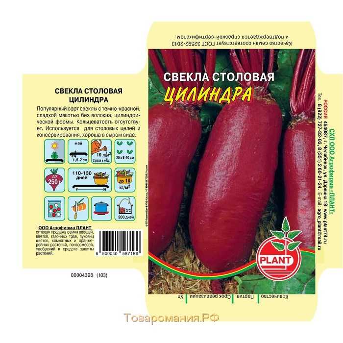 Свекла цилиндра: отзывы, фото, описание сорта сладкой свеклы