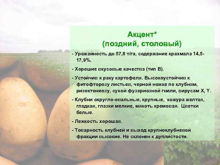 Картофель "луговской": описание сорта, фото, рекомендации по выращиванию русский фермер