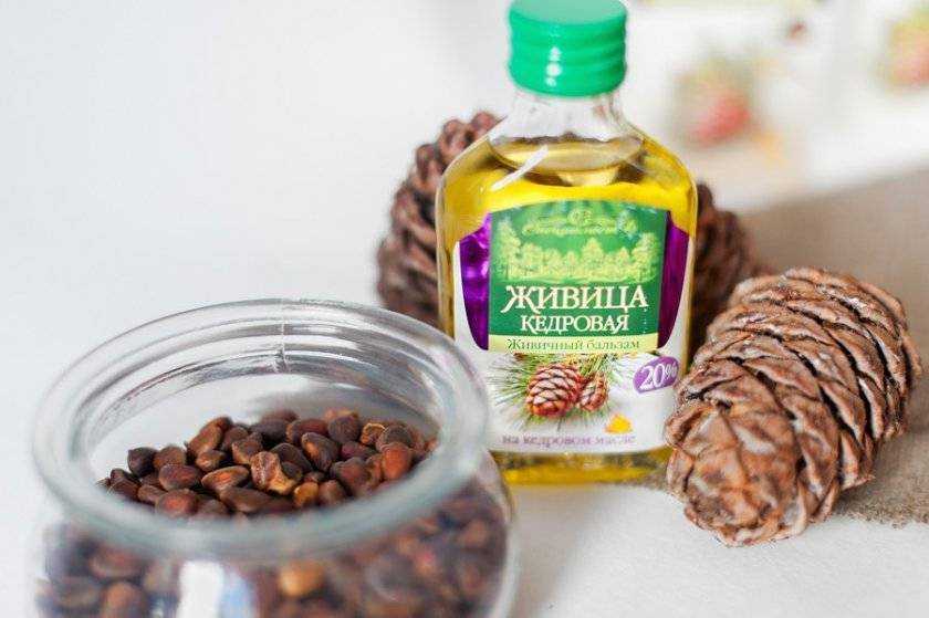 Живица 99 хворей лечит, да и сотую прочь изгоняет - бесценные дары природы
