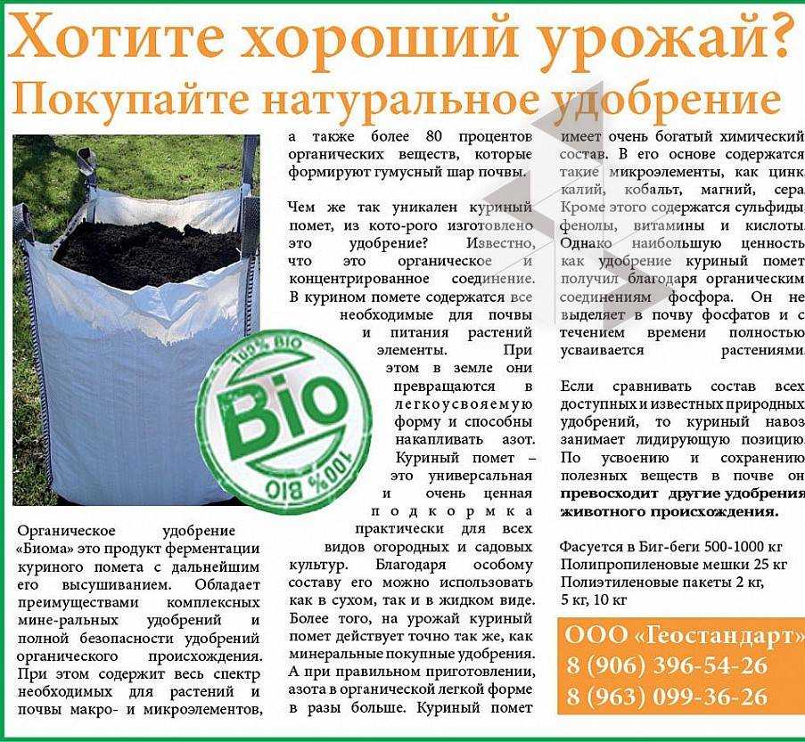 Голубиный помет в качестве удобрения: как использовать и разводить, отзывы