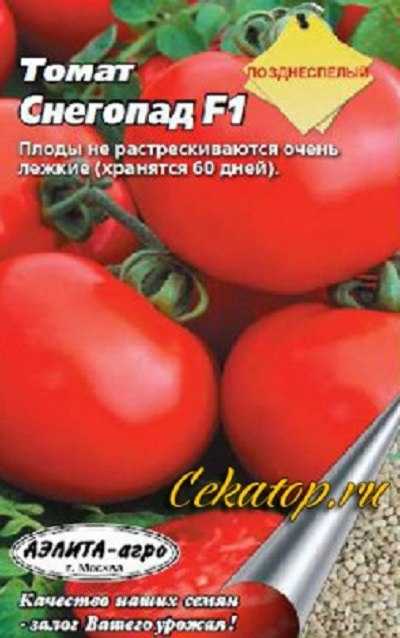 Томат снегопад: характеристика и описание гибридного сорта с фото