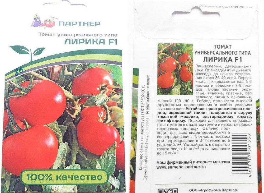 Томат великосветский: характеристика и описание сорта, отзывы, урожайность, фото – все о помидорках