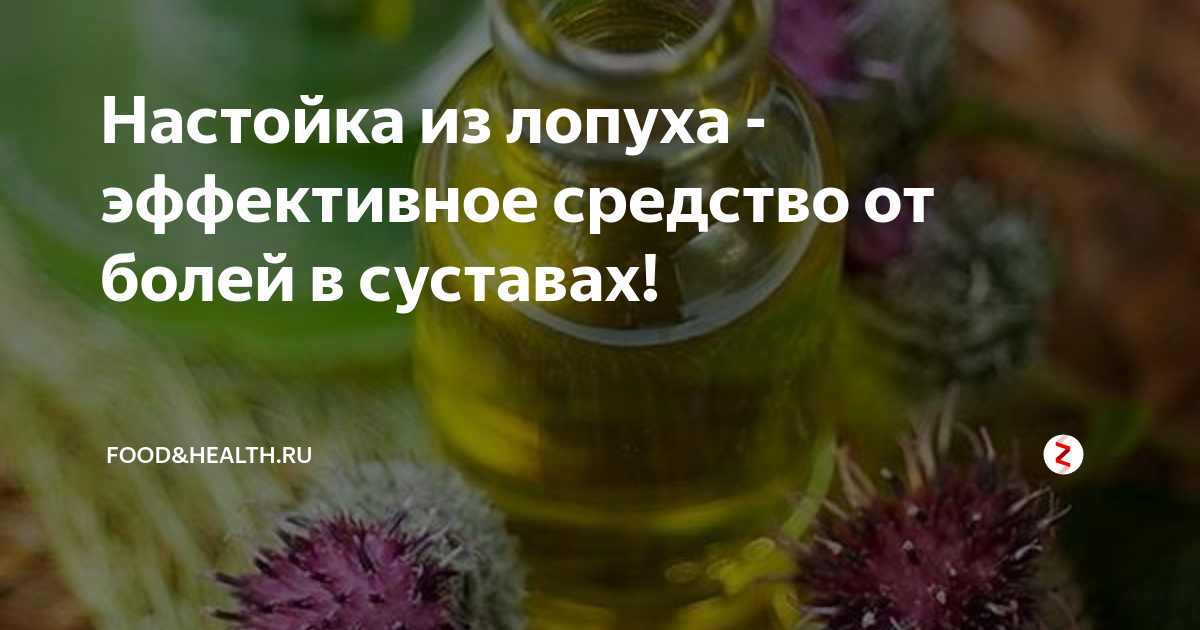 Настойка одуванчика – простое средство, сильный эффект