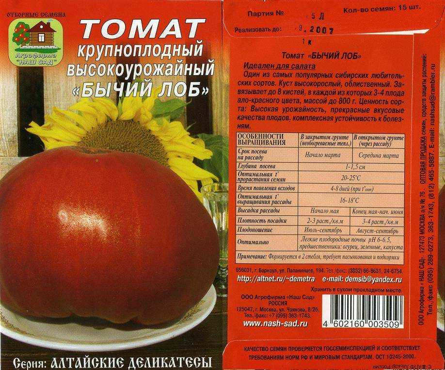 Томат бычий лоб: описание и характеристика сорта, урожайность