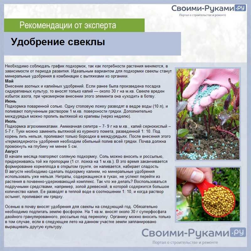 Подкормка куриным пометом овощей: рецепты и нормы расхода удобрения