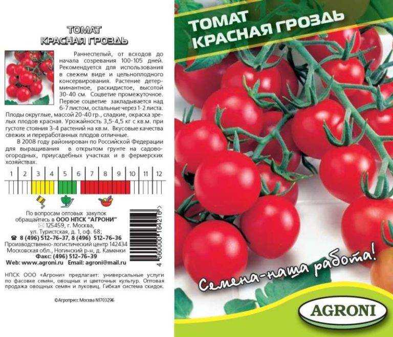 Томат красный петух: описание сорта, отзывы, фото, урожайность