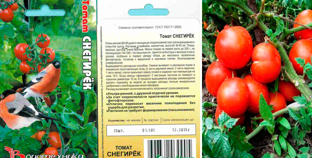 Томат "крайний север": характеристика сорта и описание особенностей выращивания