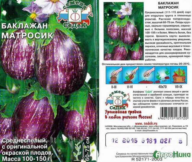 Лучшие сорта баклажанов для теплицы и открытого грунта: топ-15 самых урожайных и вкусных (без горечи)