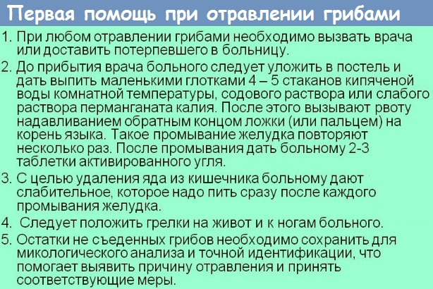 Отравление грибами рыжиками: симптомы и первая помощь пострадавшему